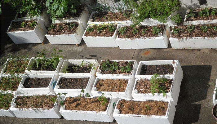 استفاده از یونولیت برای کاهش میزان تبخیر