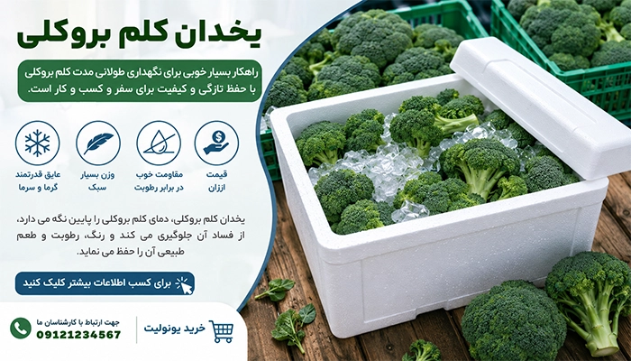 یخدان کلم بروکلی